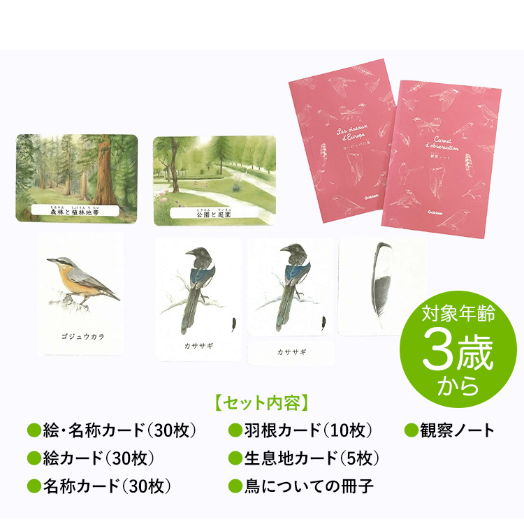 モンテッソーリBox とり 学研 モンテッソーリ BOX とり 鳥 教具 知育玩具 3歳 4歳 5歳
