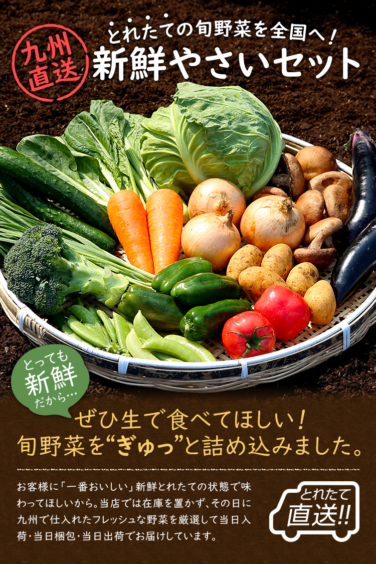 専用　新じゃが＆旬野菜セット 旬の新鮮野菜セット お試し8種類 野菜セットA 詰め合わせ | 岩手