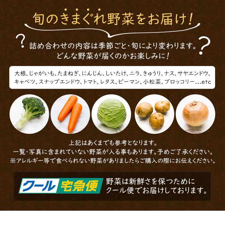 Kuradashiオリジナル】市場直送！新鮮野菜詰め合わせBOX 小 8